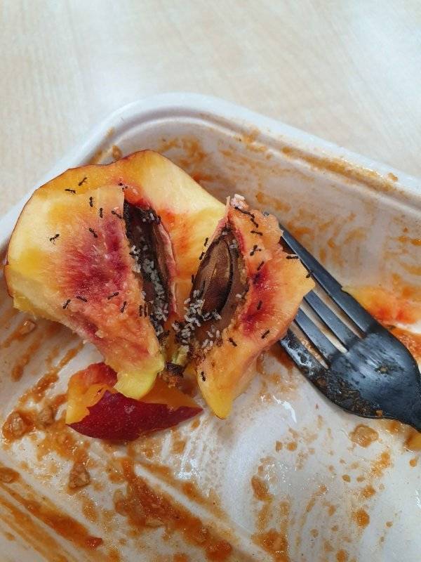 That’s A Real Big NOPE…