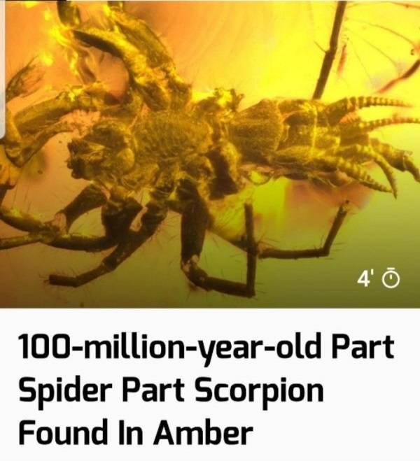 That’s A Real Big NOPE…