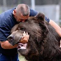 she didnt know video.html - 1 HD Video | Premium Gallery 2020