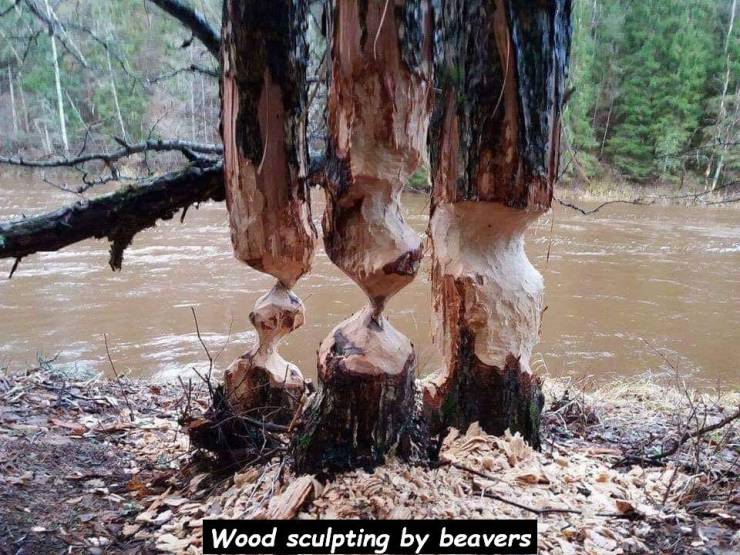 daily picdump 94 pics 16.html - 94 HD Photos | Premium Gallery 2020