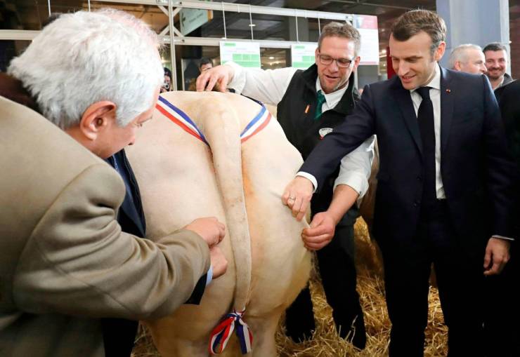 daily picdump 94 pics 16.html - 94 HD Photos | Premium Gallery 2020