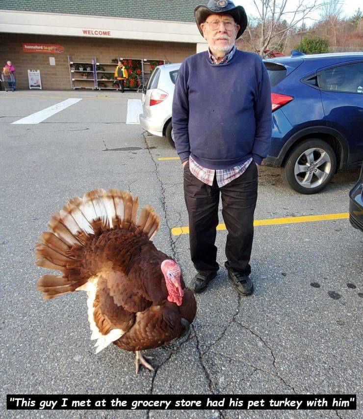 daily picdump 94 pics 16.html - 94 HD Photos | Premium Gallery 2020