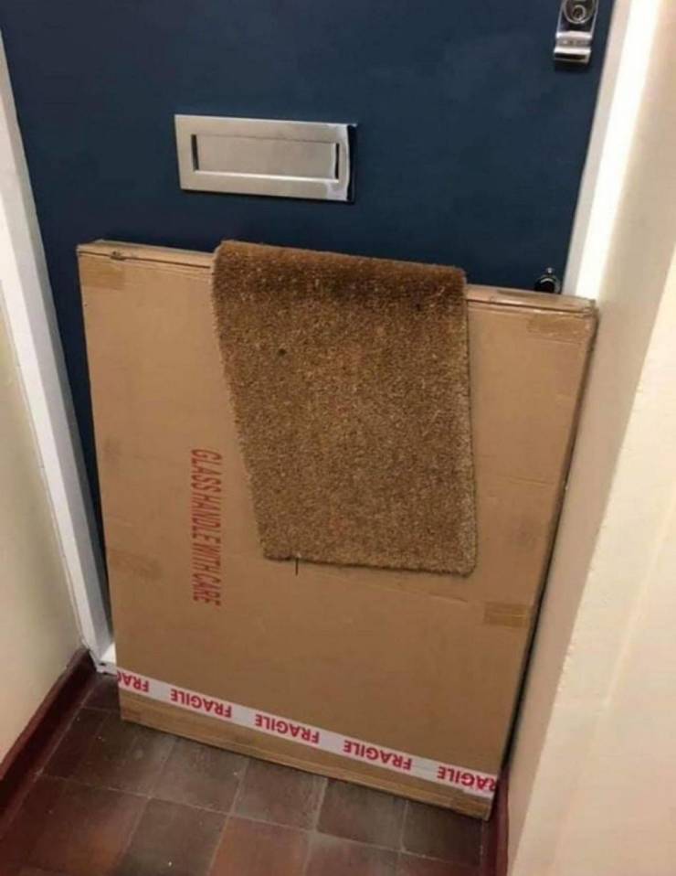 daily picdump 94 pics 16.html - 94 HD Photos | Premium Gallery 2020