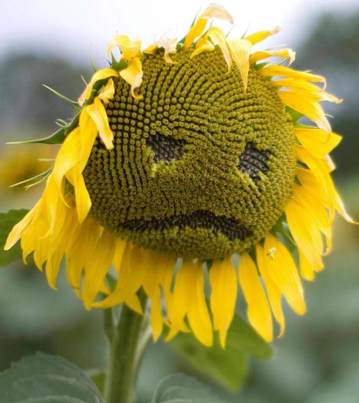 daily picdump 94 pics 16.html - 94 HD Photos | Premium Gallery 2020