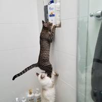 on these girls glasses arent nerdy at all 53 pics.html - 53 HD Photos | Premium Gallery 2020