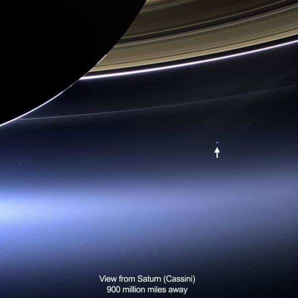 Pics That Are So Poignant And Fascinating