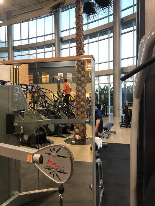 An Absolutely PERFECT Fit!