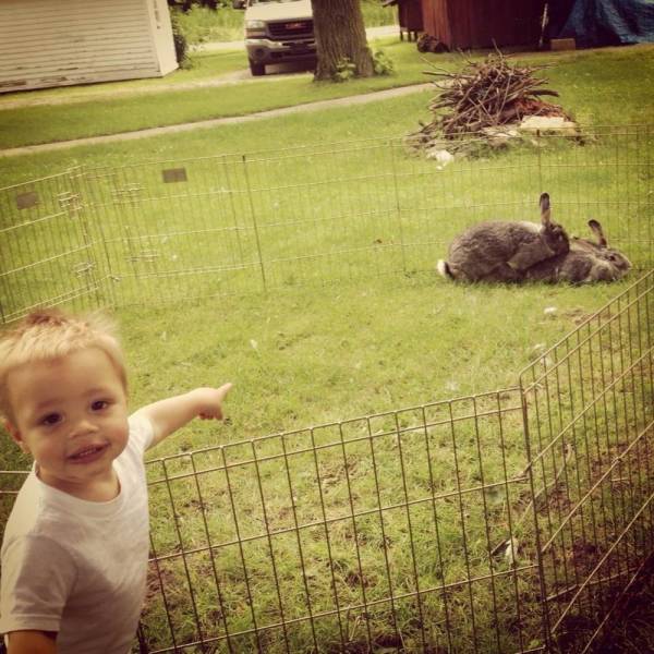 daily picdump 97 pics 45.html - 97 HD Photos | Premium Gallery 2020