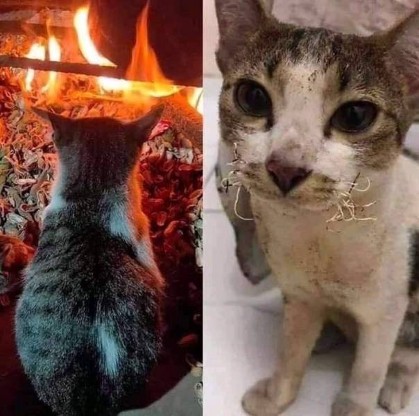 daily picdump 97 pics 45.html - 97 HD Photos | Premium Gallery 2020