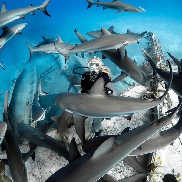 daily picdump 97 pics 45.html - 97 HD Photos | Premium Gallery 2020