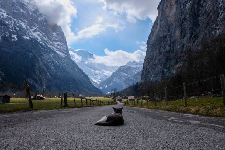 daily picdump 97 pics 45.html - 97 HD Photos | Premium Gallery 2020