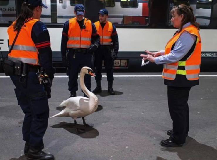 daily picdump 97 pics 45.html - 97 HD Photos | Premium Gallery 2020