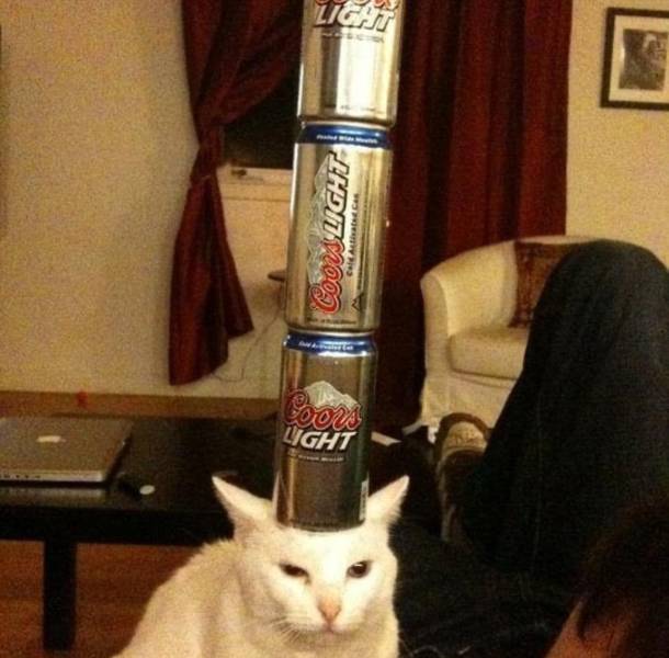 daily picdump 97 pics 45.html - 97 HD Photos | Premium Gallery 2020