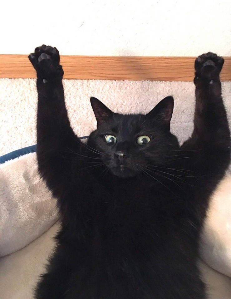 daily picdump 97 pics 45.html - 97 HD Photos | Premium Gallery 2020