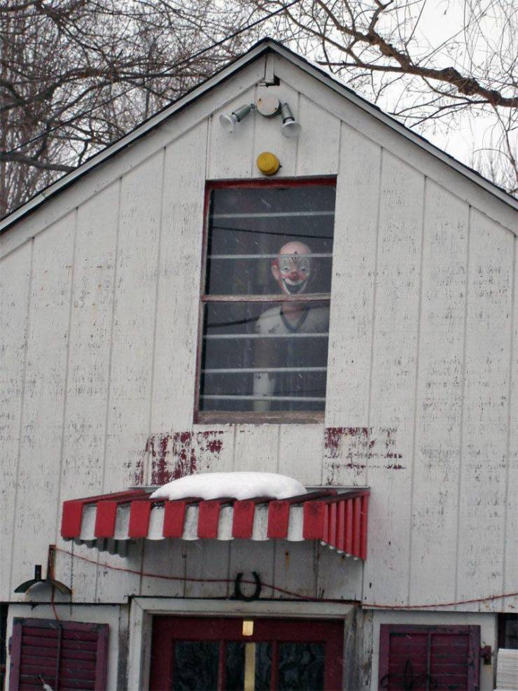 daily picdump 97 pics 45.html - 97 HD Photos | Premium Gallery 2020