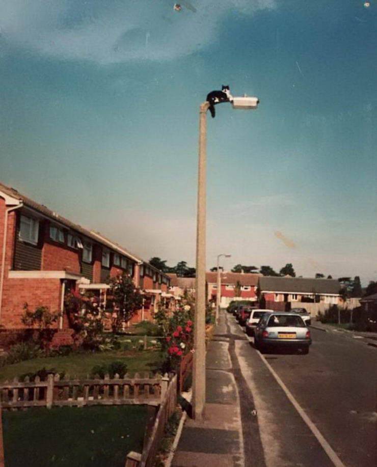 daily picdump 97 pics 45.html - 97 HD Photos | Premium Gallery 2020