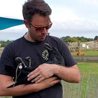 trikini is the new hot trend 19 pics.html - 19 HD Photos | Premium Gallery 2020