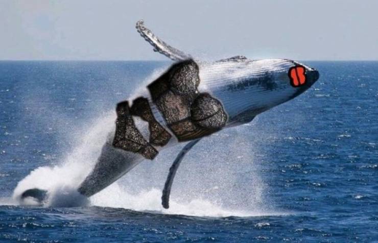 NSFW Facts Are The Most Interesting Ones!