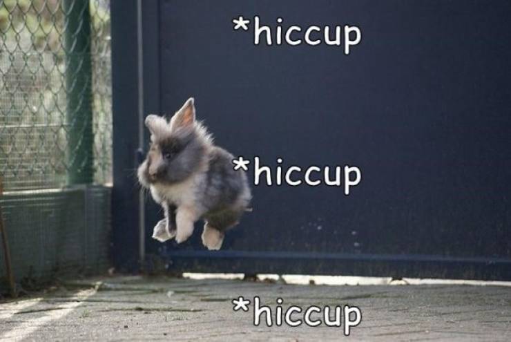 NSFW Facts Are The Most Interesting Ones!