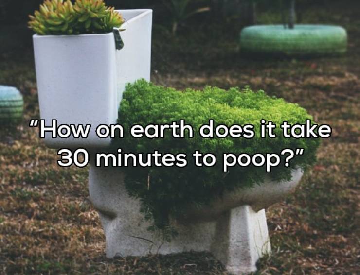 The Opposite Sex Is So Strange!