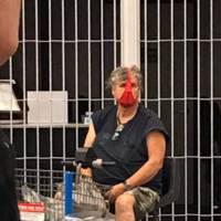 owner saves his dog from pit bulls video.html - 1 HD Video | Premium Gallery 2020