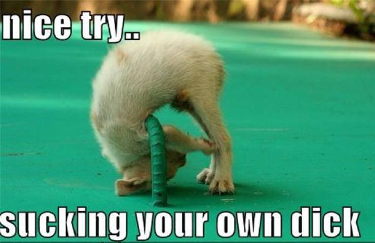 If Women Had A Penis…