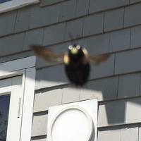 there is nothing sexier than hot girls in lingerie 51 pics.html - 51 HD Photos | Premium Gallery 2020