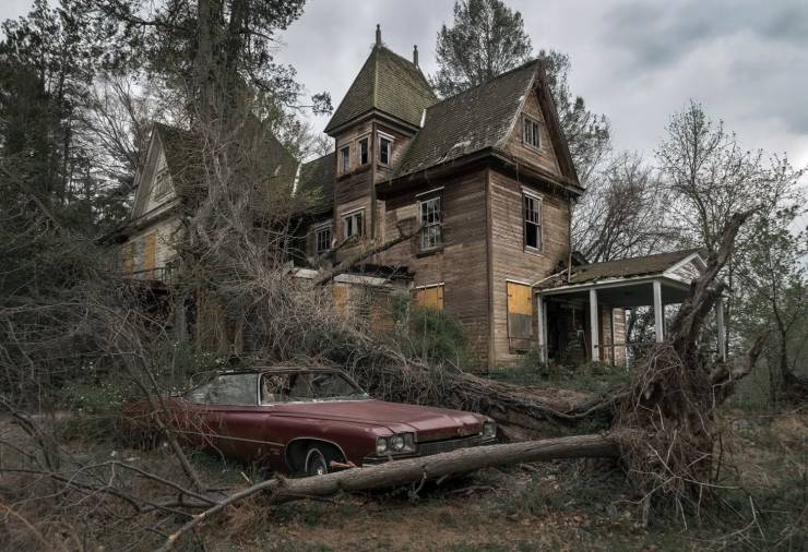 daily picdump 101 pics 18.html - 101 HD Photos | Premium Gallery 2020