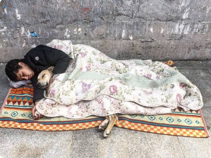 daily picdump 101 pics 18.html - 101 HD Photos | Premium Gallery 2020