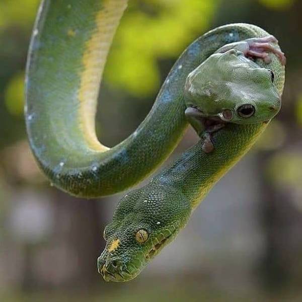 daily picdump 101 pics 18.html - 101 HD Photos | Premium Gallery 2020