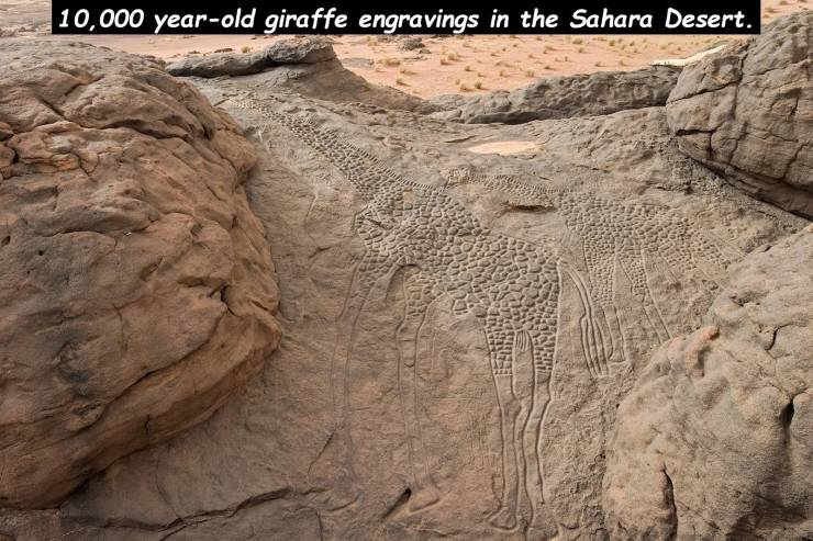 daily picdump 101 pics 18.html - 101 HD Photos | Premium Gallery 2020