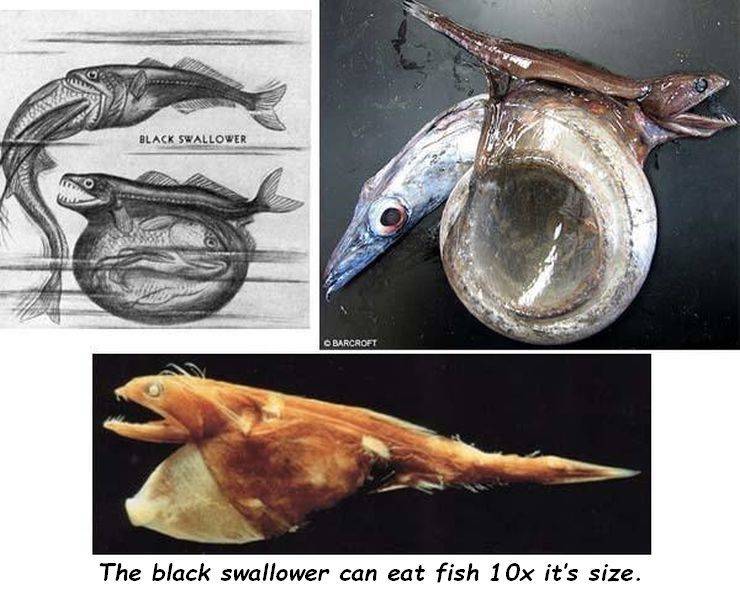 daily picdump 101 pics 18.html - 101 HD Photos | Premium Gallery 2020