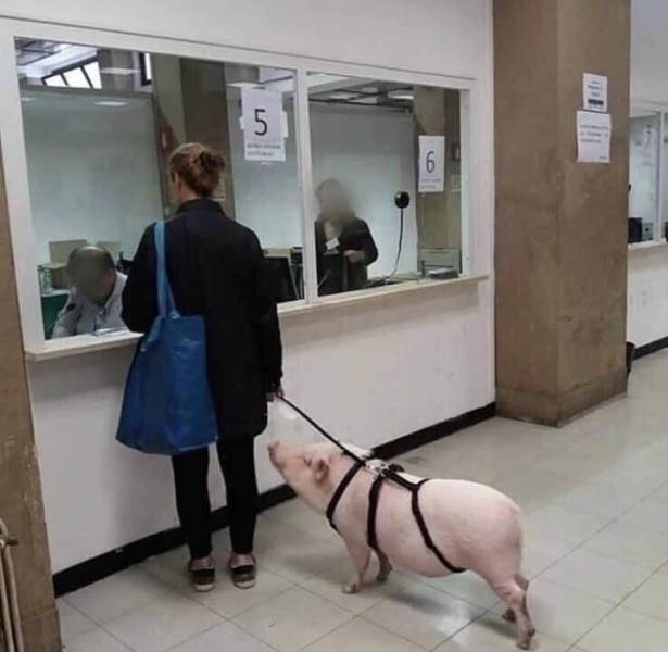 daily picdump 101 pics 18.html - 101 HD Photos | Premium Gallery 2020