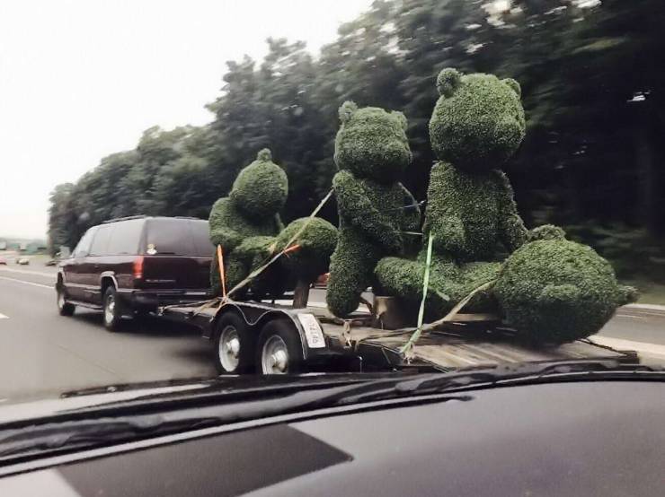 daily picdump 101 pics 18.html - 101 HD Photos | Premium Gallery 2020