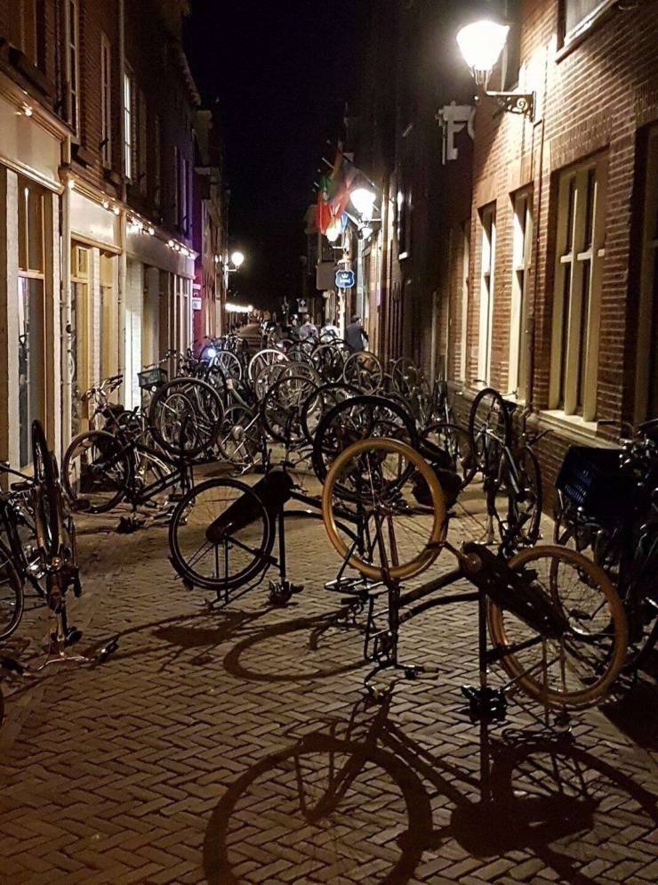 daily picdump 101 pics 18.html - 101 HD Photos | Premium Gallery 2020