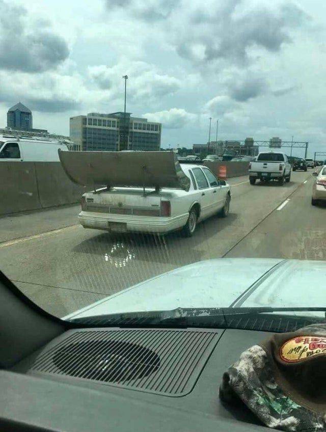 daily picdump 101 pics 18.html - 101 HD Photos | Premium Gallery 2020