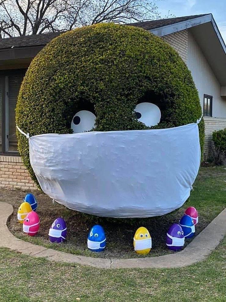 daily picdump 101 pics 18.html - 101 HD Photos | Premium Gallery 2020