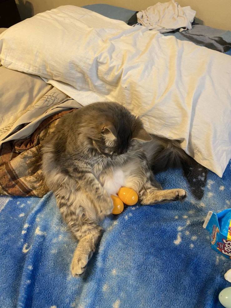 daily picdump 101 pics 18.html - 101 HD Photos | Premium Gallery 2020