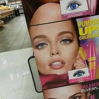 morning in miami video.html - 1 HD Video | Premium Gallery 2020