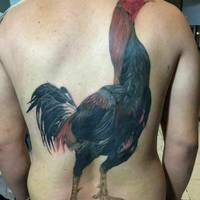 grownup corner 58 pics.html - 58 HD Photos | Premium Gallery 2020