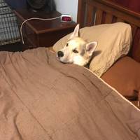 proper cleaning video.html - 1 HD Video | Premium Gallery 2020