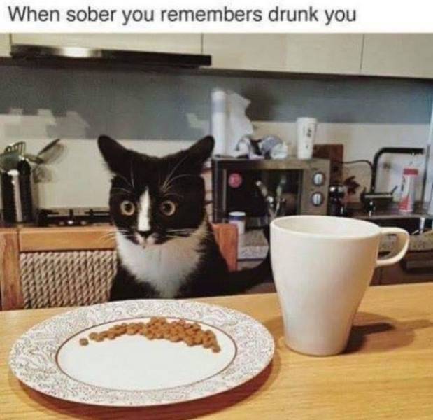 And Drunk They Were…