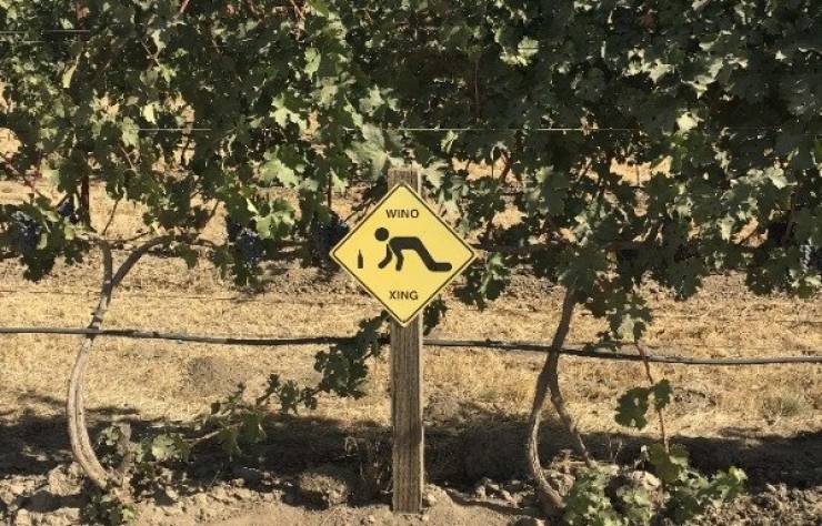 And Drunk They Were…
