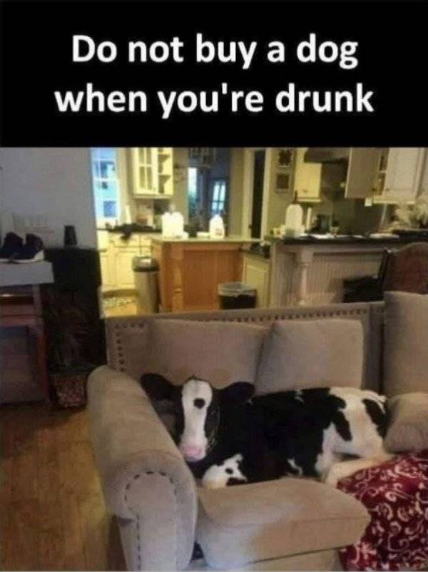 And Drunk They Were…