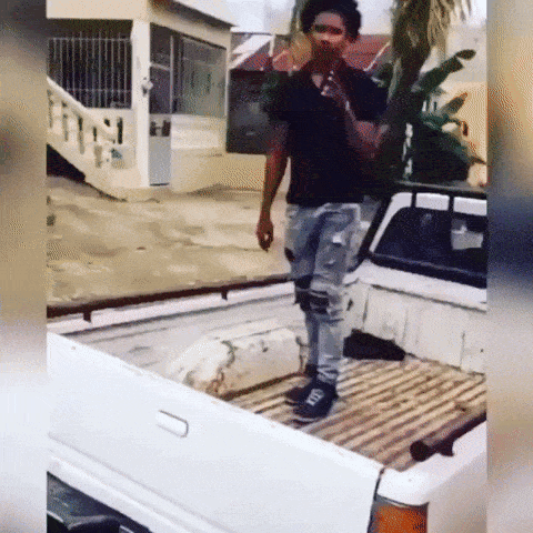 what did they expect though 30 gifs 3.html - 1 HD GIF | Premium Gallery 2020