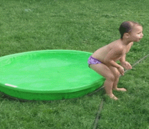 what did they expect though 30 gifs 3.html - 1 HD GIF | Premium Gallery 2020