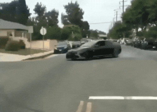 what did they expect though 30 gifs 3.html - 1 HD GIF | Premium Gallery 2020