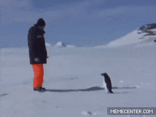 what did they expect though 30 gifs 3.html - 1 HD GIF | Premium Gallery 2020