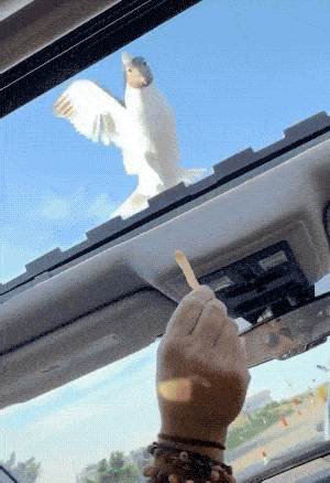 what did they expect though 30 gifs 3.html - 1 HD GIF | Premium Gallery 2020