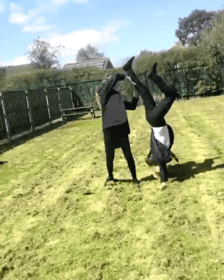 what did they expect though 30 gifs 3.html - 1 HD GIF | Premium Gallery 2020